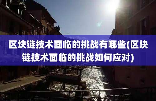 区块链技术面临的挑战有哪些(区块链技术面临的挑战如何应对)