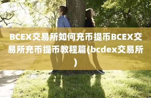 BCEX交易所如何充币提币BCEX交易所充币提币教程篇(bcdex交易所)