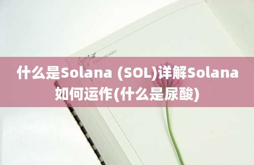 什么是Solana (SOL)详解Solana如何运作(什么是尿酸)