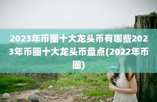 2023年币圈十大龙头币有哪些2023年币圈十大龙头币盘点(2022年币圈)