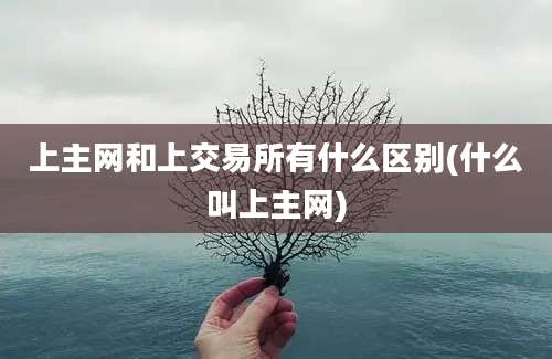 上主网和上交易所有什么区别(什么叫上主网)