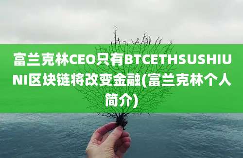 富兰克林CEO只有BTCETHSUSHIUNI区块链将改变金融(富兰克林个人简介)