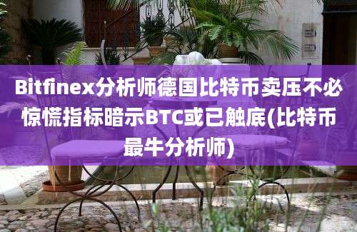 Bitfinex分析师德国比特币卖压不必惊慌指标暗示BTC或已触底(比特币最牛分析师)