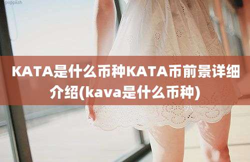 KATA是什么币种KATA币前景详细介绍(kava是什么币种)