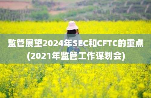 监管展望2024年SEC和CFTC的重点(2021年监管工作谋划会)