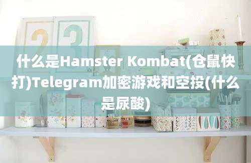 什么是Hamster Kombat(仓鼠快打)Telegram加密游戏和空投(什么是尿酸)