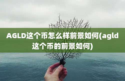 AGLD这个币怎么样前景如何(agld这个币的前景如何)