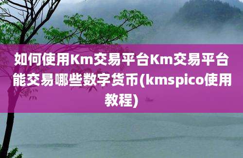 如何使用Km交易平台Km交易平台能交易哪些数字货币(kmspico使用教程)