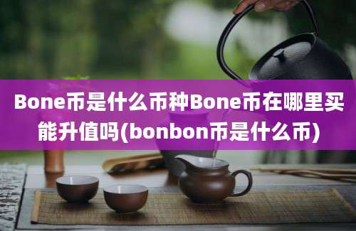 Bone币是什么币种Bone币在哪里买能升值吗(bonbon币是什么币)