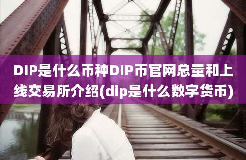 DIP是什么币种DIP币官网总量和上线交易所介绍(dip是什么数字货币)