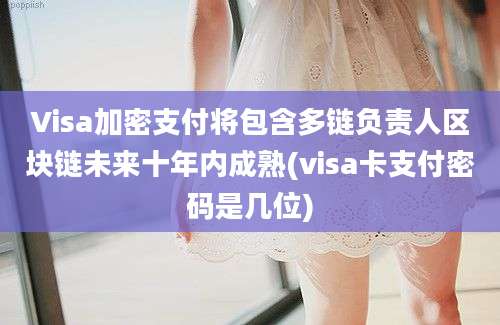 Visa加密支付将包含多链负责人区块链未来十年内成熟(visa卡支付密码是几位)