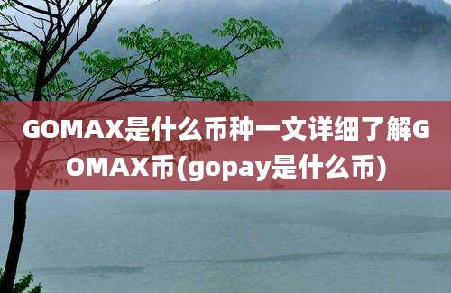 GOMAX是什么币种一文详细了解GOMAX币(gopay是什么币)