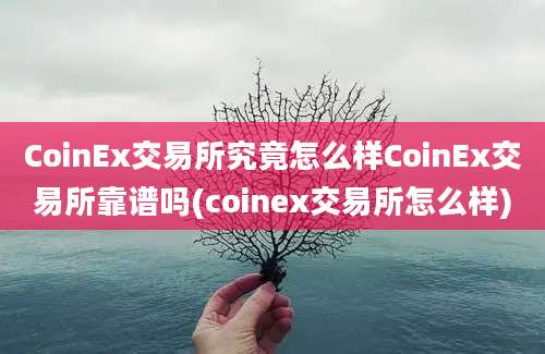 CoinEx交易所究竟怎么样CoinEx交易所靠谱吗(coinex交易所怎么样)