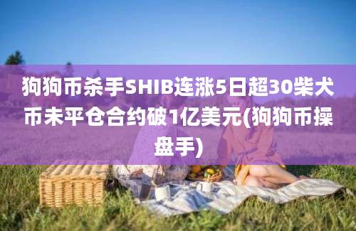 狗狗币杀手SHIB连涨5日超30柴犬币未平仓合约破1亿美元(狗狗币操盘手)