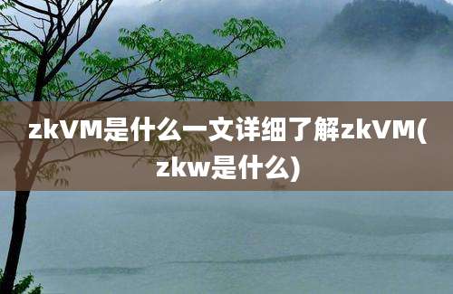 zkVM是什么一文详细了解zkVM(zkw是什么)