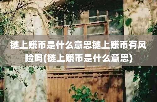 链上赚币是什么意思链上赚币有风险吗(链上赚币是什么意思)