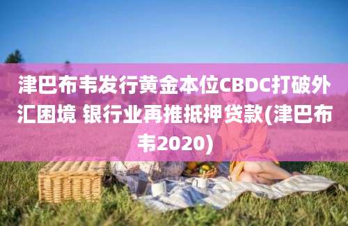 津巴布韦发行黄金本位CBDC打破外汇困境 银行业再推抵押贷款(津巴布韦2020)