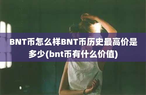 BNT币怎么样BNT币历史最高价是多少(bnt币有什么价值)