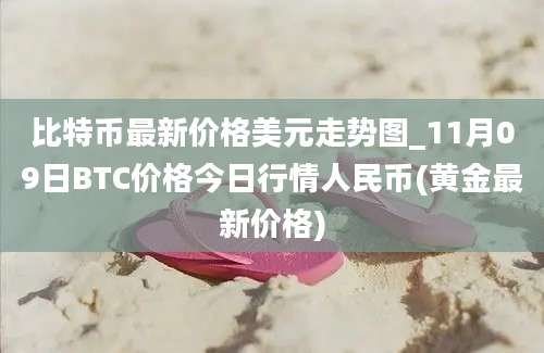 比特币最新价格美元走势图_11月09日BTC价格今日行情人民币(黄金最新价格)