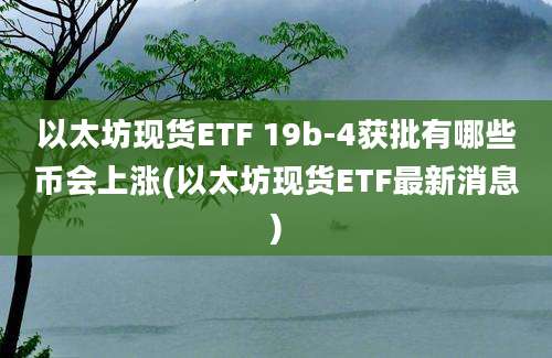 以太坊现货ETF 19b-4获批有哪些币会上涨(以太坊现货ETF最新消息)