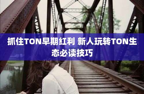 抓住TON早期红利 新人玩转TON生态必读技巧