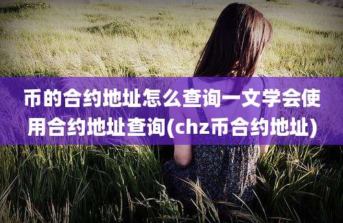 币的合约地址怎么查询一文学会使用合约地址查询(chz币合约地址)