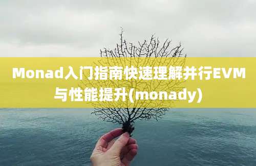 Monad入门指南快速理解并行EVM与性能提升(monady)