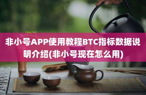 非小号APP使用教程BTC指标数据说明介绍(非小号现在怎么用)