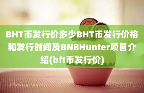 BHT币发行价多少BHT币发行价格和发行时间及BNBHunter项目介绍(bft币发行价)