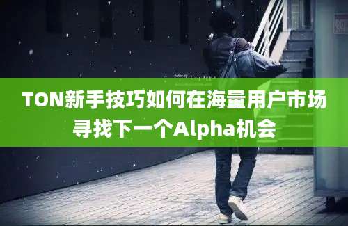 TON新手技巧如何在海量用户市场寻找下一个Alpha机会