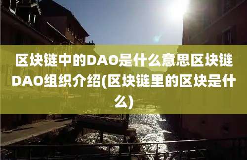 区块链中的DAO是什么意思区块链DAO组织介绍(区块链里的区块是什么)