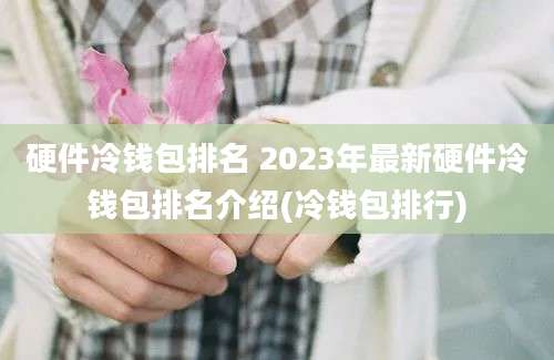 硬件冷钱包排名 2023年最新硬件冷钱包排名介绍(冷钱包排行)