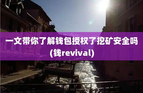 一文带你了解钱包授权了挖矿安全吗(钱revival)