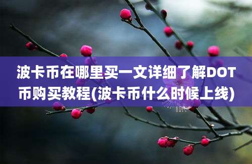 波卡币在哪里买一文详细了解DOT币购买教程(波卡币什么时候上线)