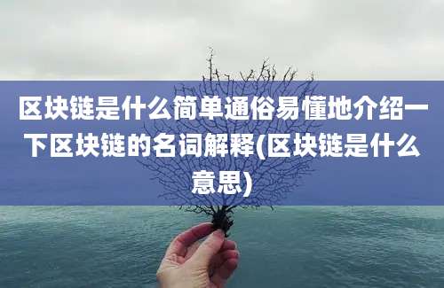 区块链是什么简单通俗易懂地介绍一下区块链的名词解释(区块链是什么意思)