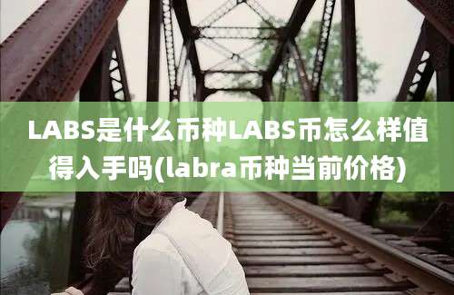 LABS是什么币种LABS币怎么样值得入手吗(labra币种当前价格)