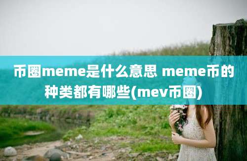 币圈meme是什么意思 meme币的种类都有哪些(mev币圈)