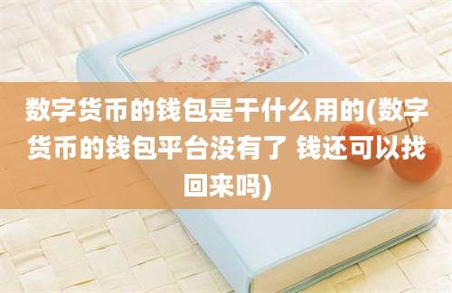 数字货币的钱包是干什么用的(数字货币的钱包平台没有了 钱还可以找回来吗)