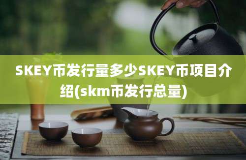 SKEY币发行量多少SKEY币项目介绍(skm币发行总量)