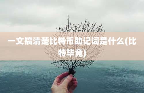 一文搞清楚比特币助记词是什么(比特毕竟)