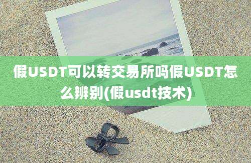 假USDT可以转交易所吗假USDT怎么辨别(假usdt技术)