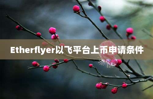 Etherflyer以飞平台上币申请条件