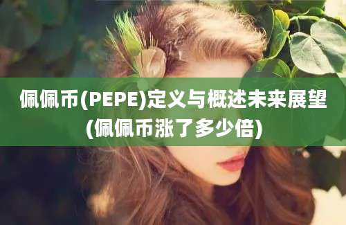 佩佩币(PEPE)定义与概述未来展望(佩佩币涨了多少倍)