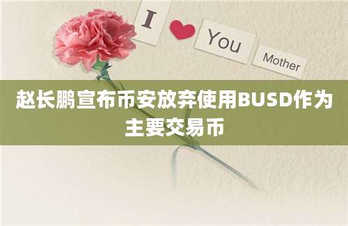 赵长鹏宣布币安放弃使用BUSD作为主要交易币