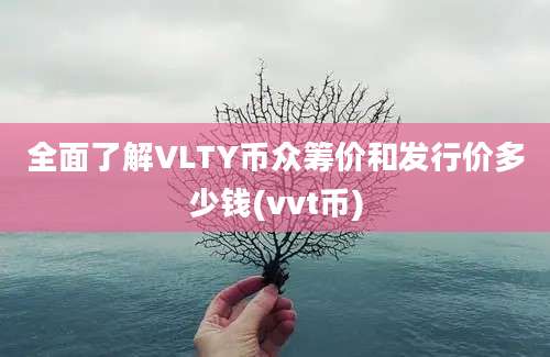 全面了解VLTY币众筹价和发行价多少钱(vvt币)