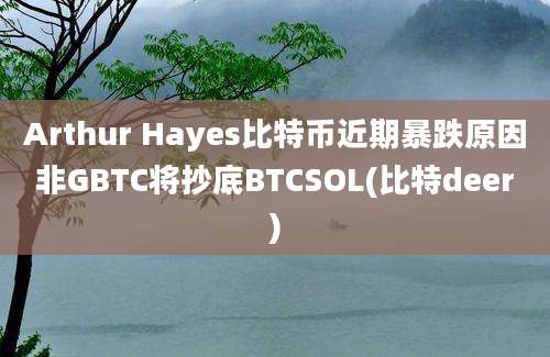 Arthur Hayes比特币近期暴跌原因非GBTC将抄底BTCSOL(比特deer)