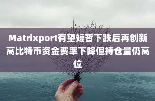 Matrixport有望短暂下跌后再创新高比特币资金费率下降但持仓量仍高位