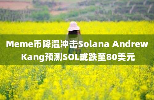 Meme币降温冲击Solana Andrew Kang预测SOL或跌至80美元