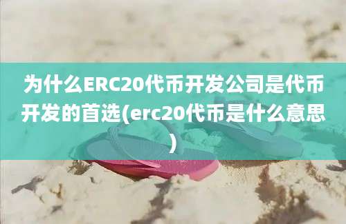 为什么ERC20代币开发公司是代币开发的首选(erc20代币是什么意思)