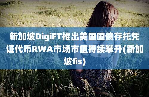 新加坡DigiFT推出美国国债存托凭证代币RWA市场市值持续攀升(新加坡fis)